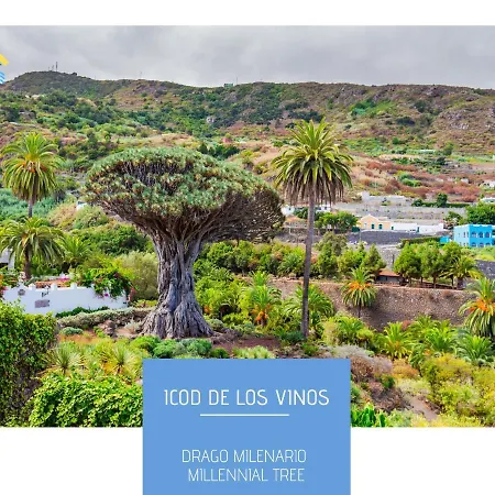 Mesa Del Mar Sunset Dream Vacational Appartamento Puerto de la Madera